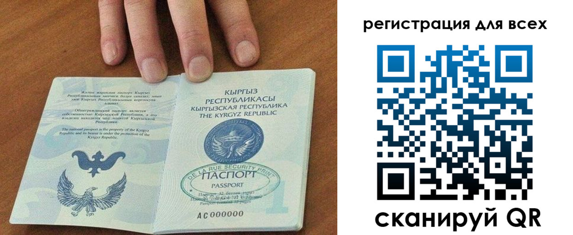 прописка для школы в Ершове